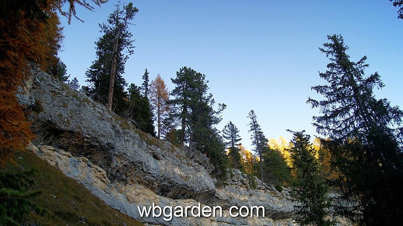 wbgarden alps 124.JPG